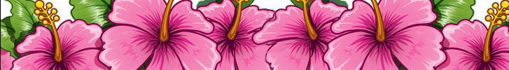 Hawaiian Luau