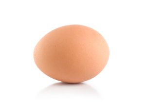 One egg isolated on white background