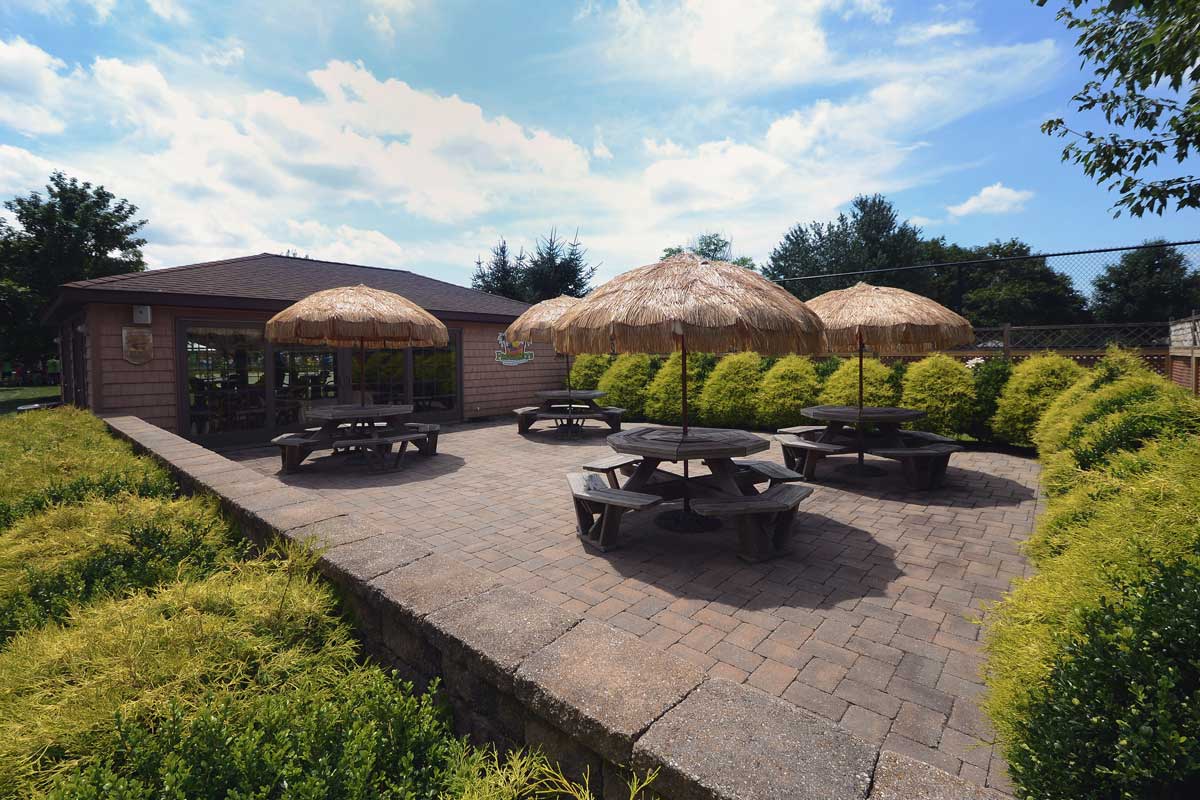 frogaritas island oasis