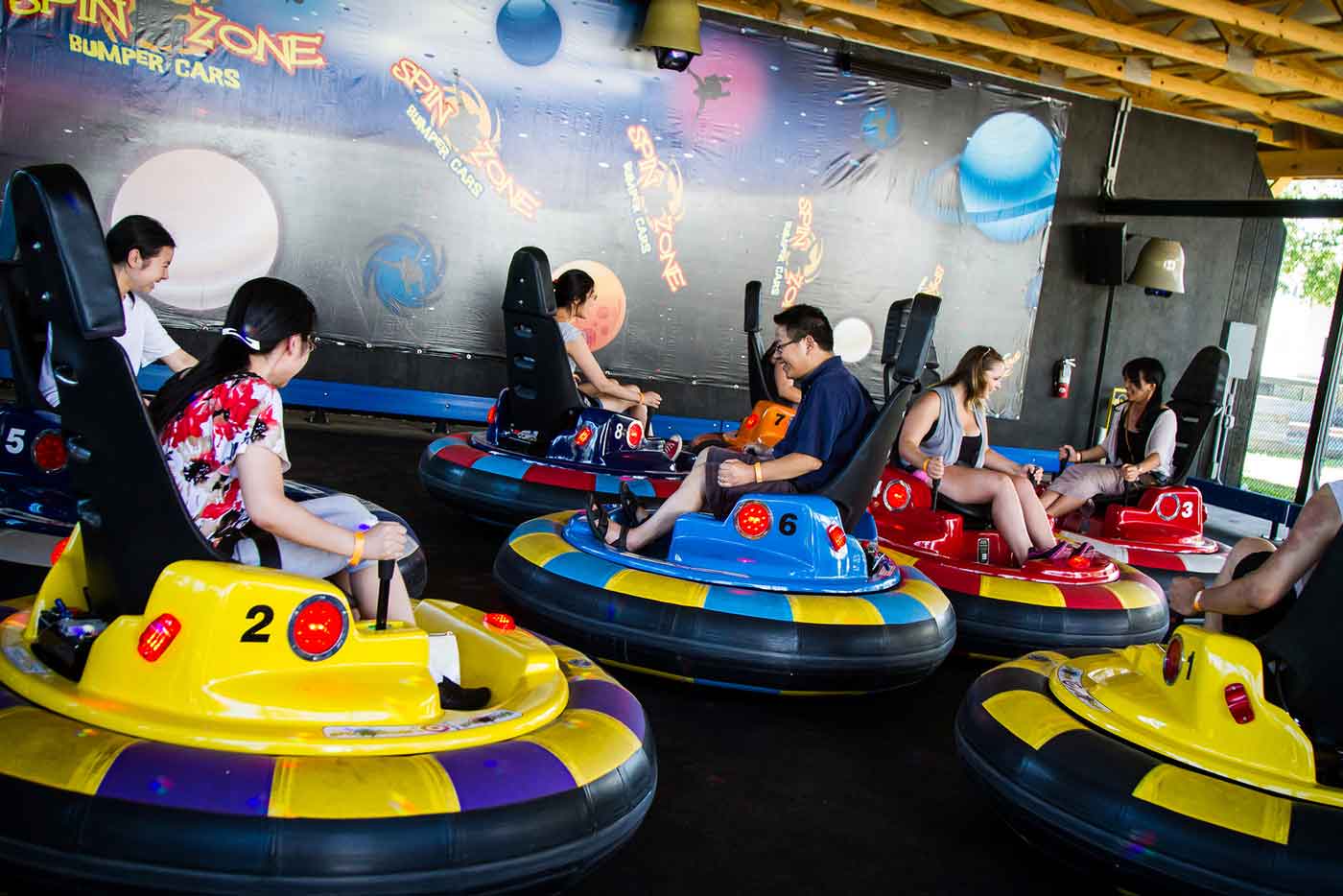 spin zone bumper cars