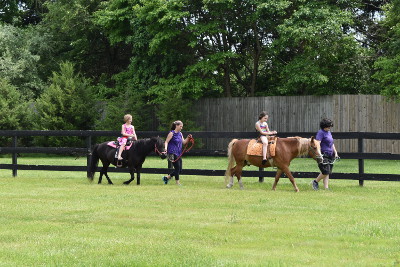 Pony rides