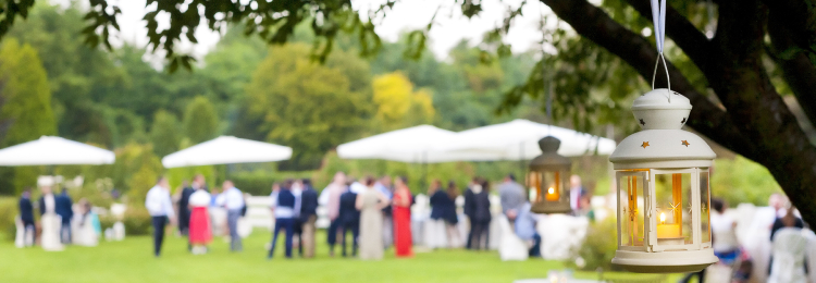 Outdoor Wedding Reception. People Social Gathering