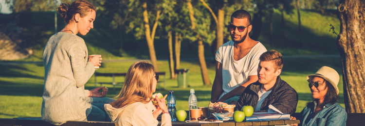 Multiethnic group having a picnic at a park