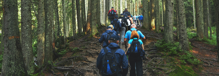 teambuilding in the hike