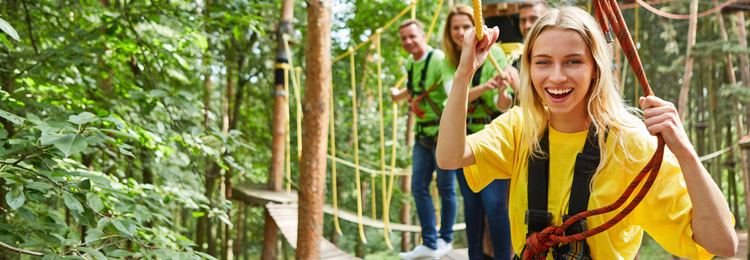 climbing forest