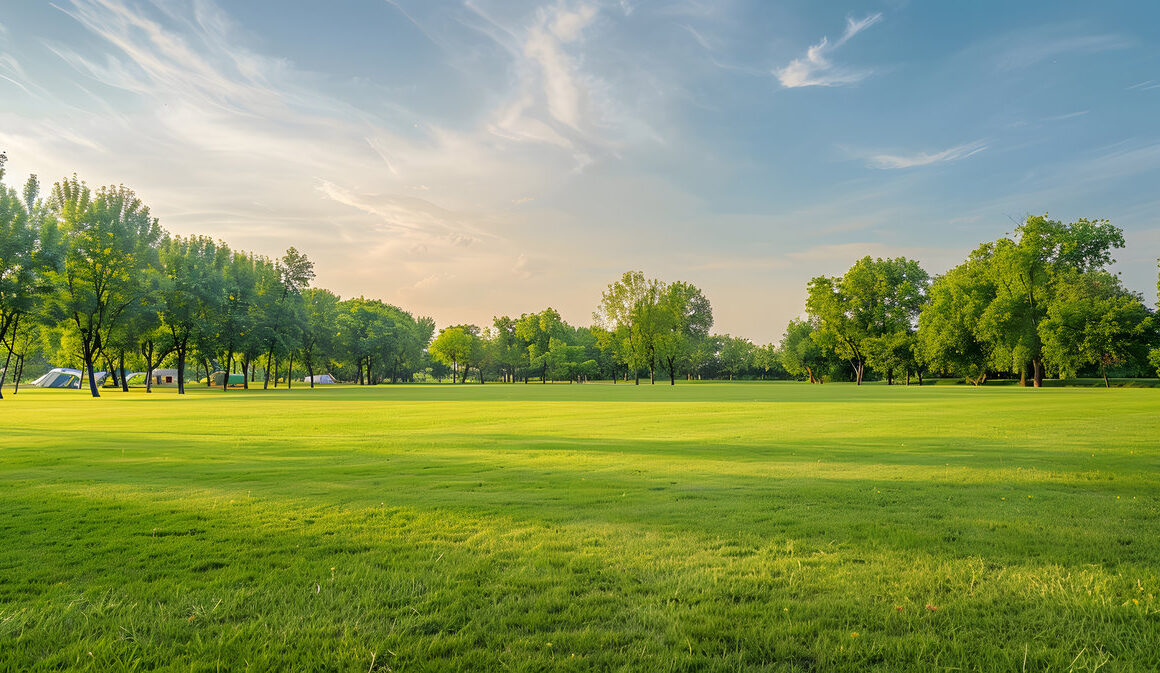 Background texture of clean and wellmaintained grass lawn with a variety of trees in the background against beautiful sky Vacant ground or empty unpowered campsite in a park Copy space